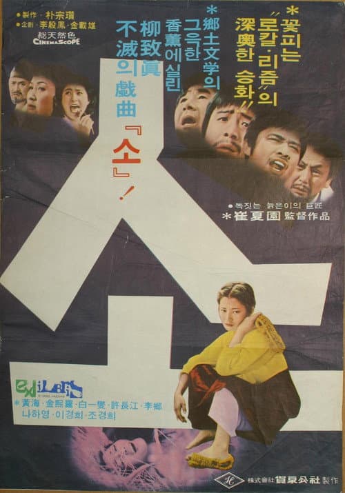 Poster for Cattle