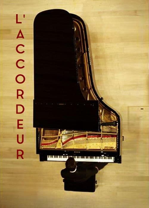 Poster for The Piano Tuner