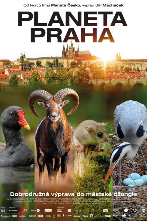 Poster for Wild Prague