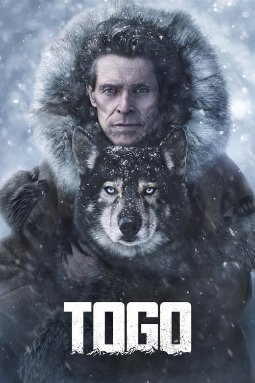 Постер до фільму «Тоґо»