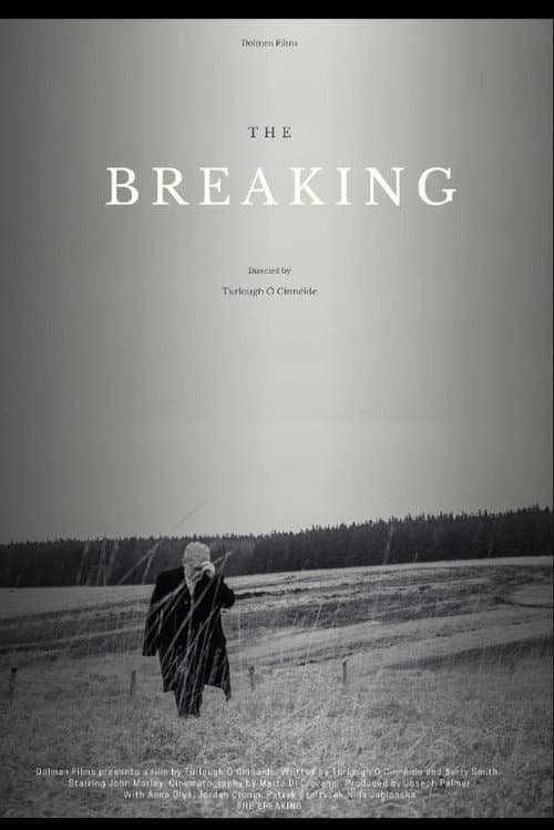 Poster for The Breaking
