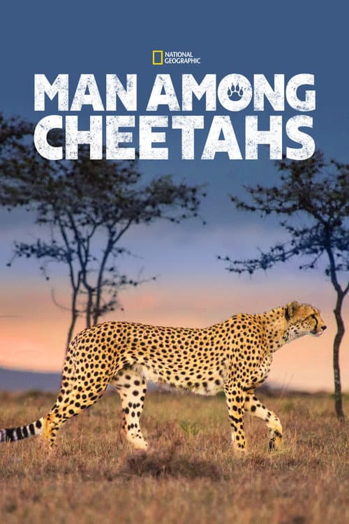 Poster for Man Among Cheetahs