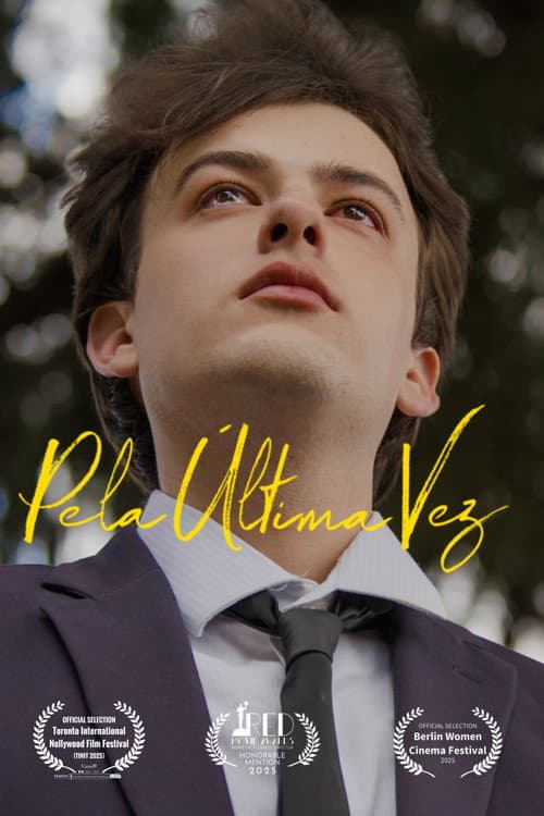 Poster for For the Last Time
