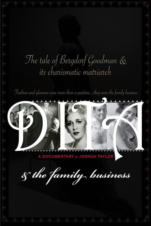 Poster for Dita and the Family Business