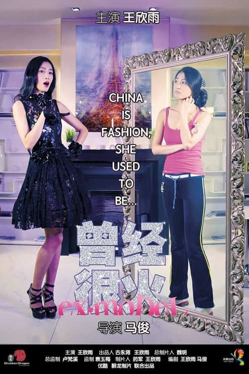 Poster for 曾经想火
