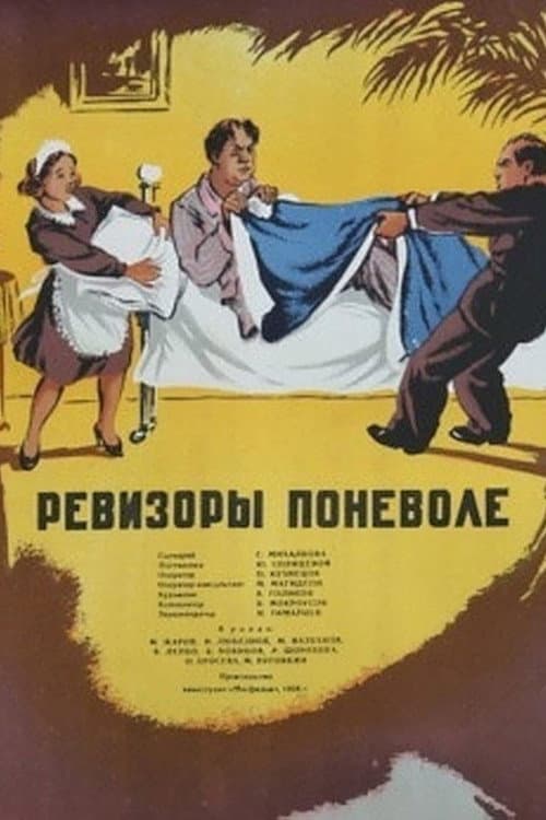 Poster for Involuntary auditors