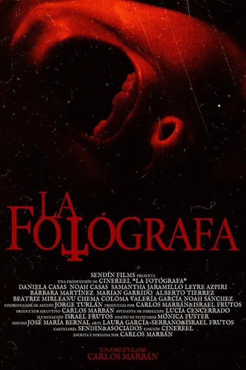 Poster for The Photographer