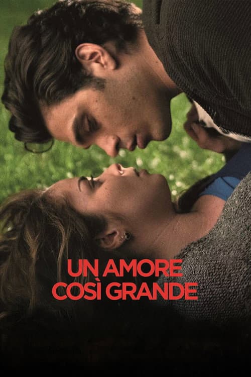 Poster for Un Amore così grande