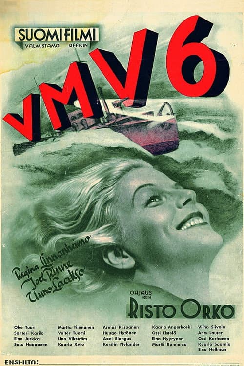 Poster for VMV 6