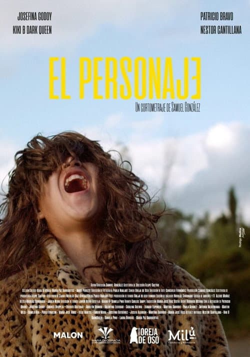 Poster for The Character