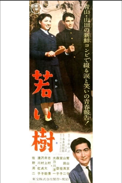 Poster for Young Tree