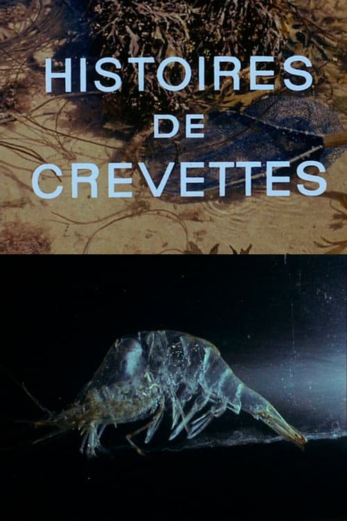 Poster for Shrimp Stories