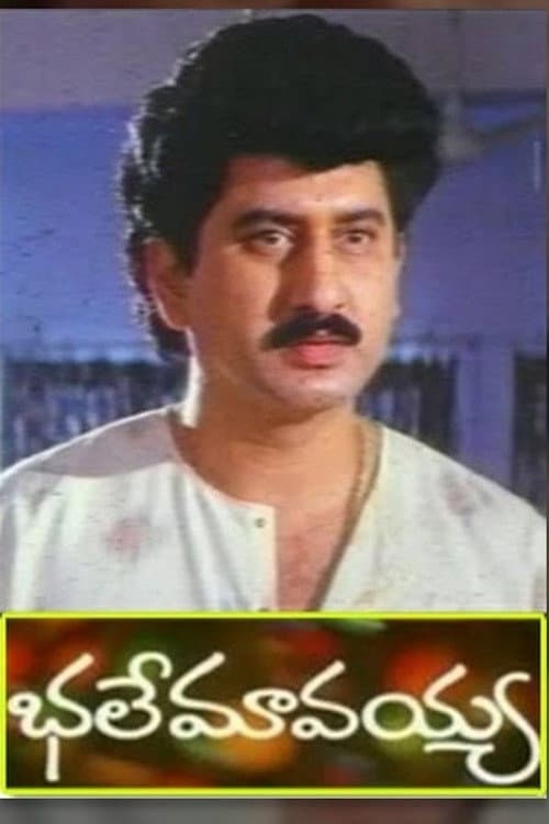 Poster for Bhale Mavayya