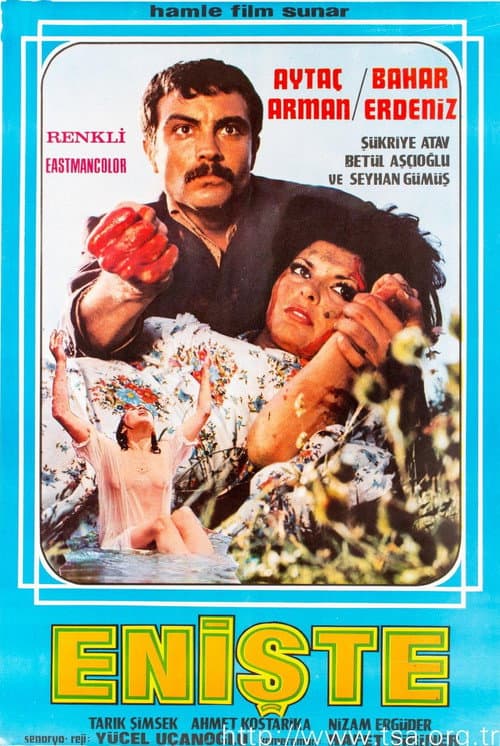 Poster for Enişte