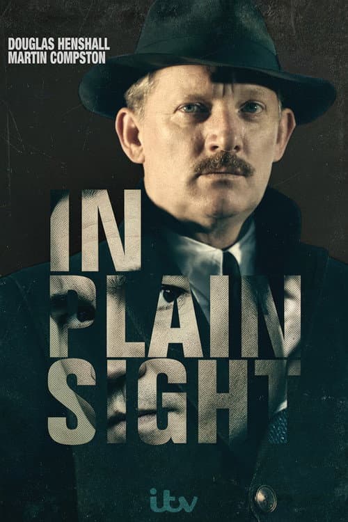 Poster for In Plain Sight