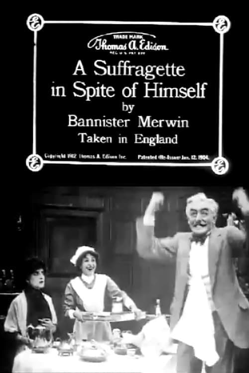 Poster for A Suffragette in Spite of Himself