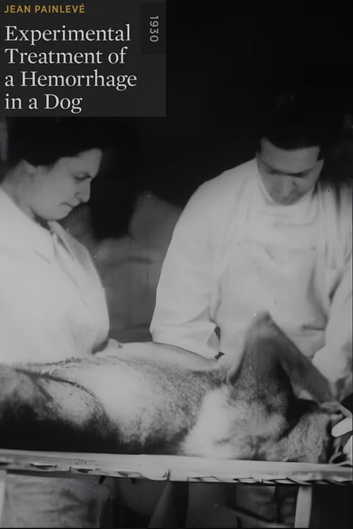 Poster for Experimental Treatment of a Hemorrhage in a Dog
