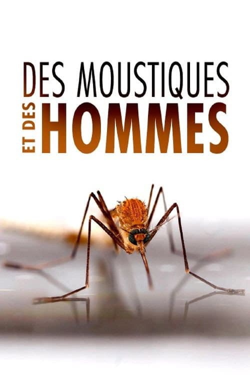 Poster for Des Moustiques et des Hommes