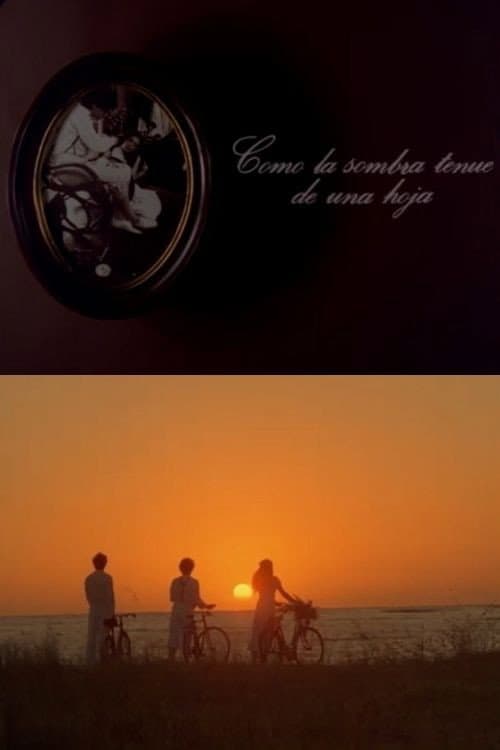 Poster for Como la sombra tenue de una hoja