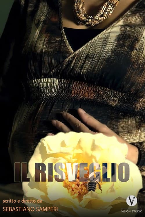 Poster for Il risveglio
