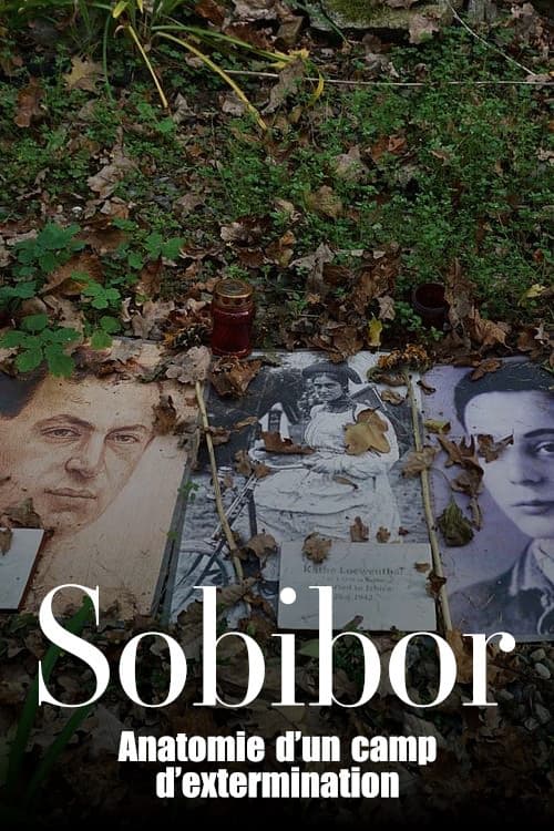 Poster for Sobibór - Anatomie eines Vernichtungslagers