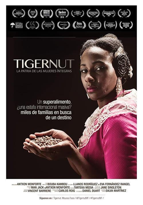 Постер до фільму «Tigernut: Homeland of the wholehearted women»