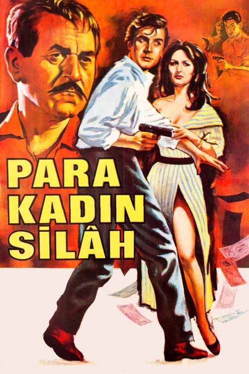 Poster for Para Kadın Silah