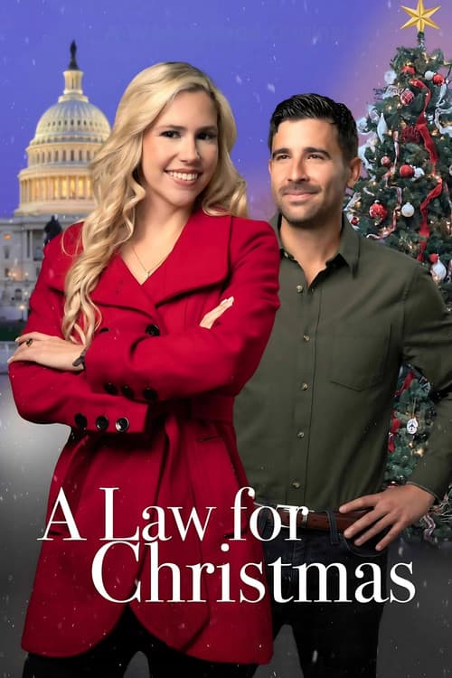 Poster for A Law for Christmas
