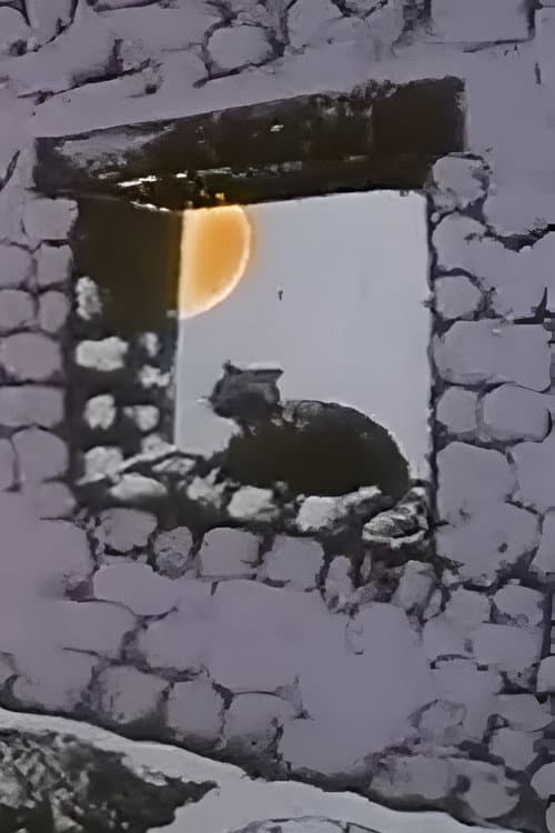 Poster for The Chameleon Cat