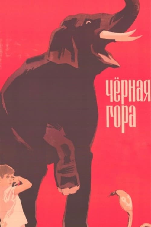 Постер до фільму «Black Mountain»