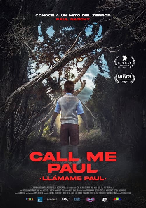 Poster for Call Me Paul