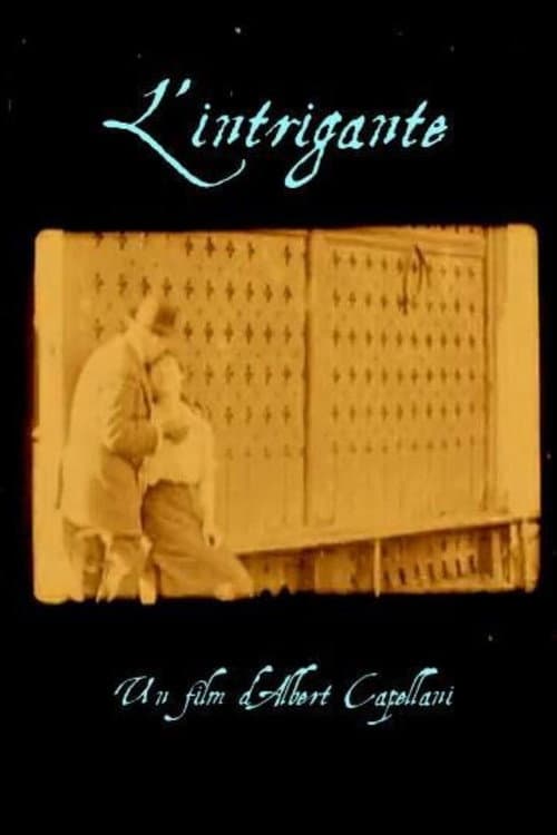 Poster for The Schemer