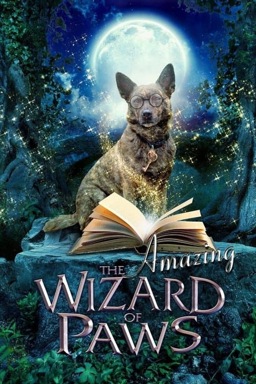 Poster for The Amazing Wizard of Paws