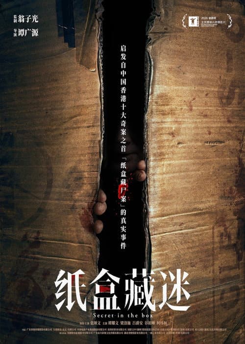 Poster for Secert in the Box