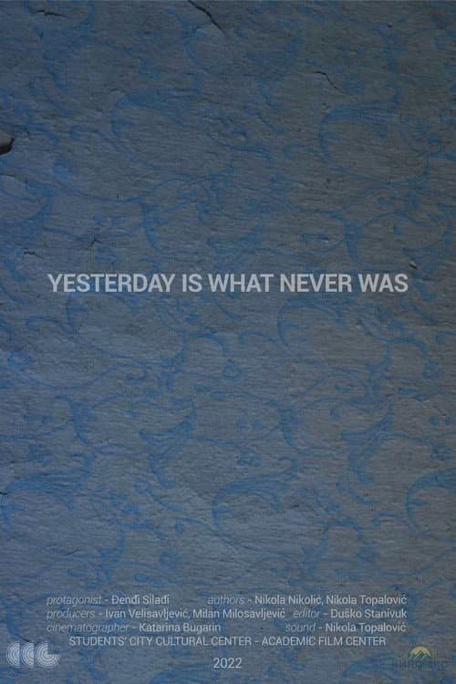 Poster for Yesterday Is What Never Was