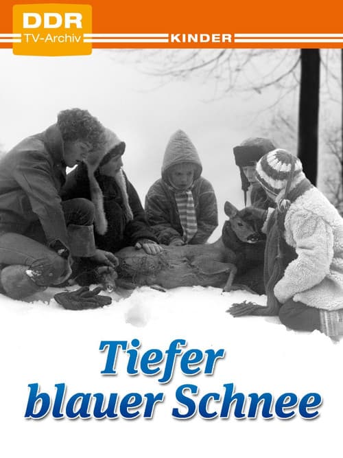 Poster for Deep Blue Snow