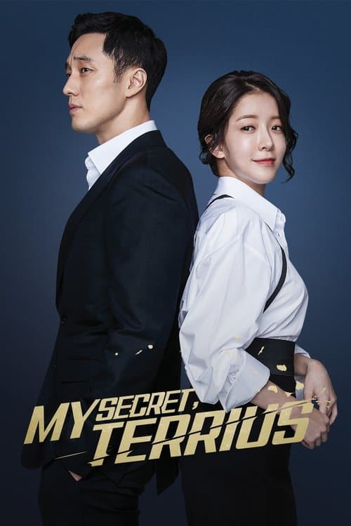 Poster for My Secret, Terrius
