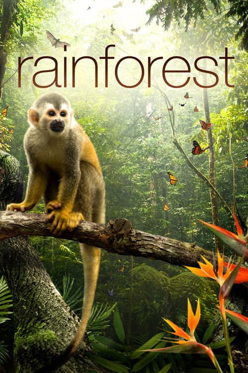 Постер до фільму «Secret Life of the Rainforest»