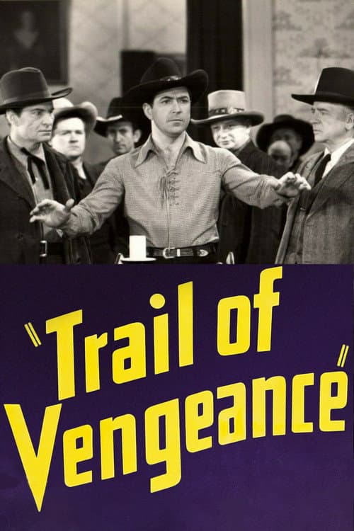 Poster for Trail of Vengeance
