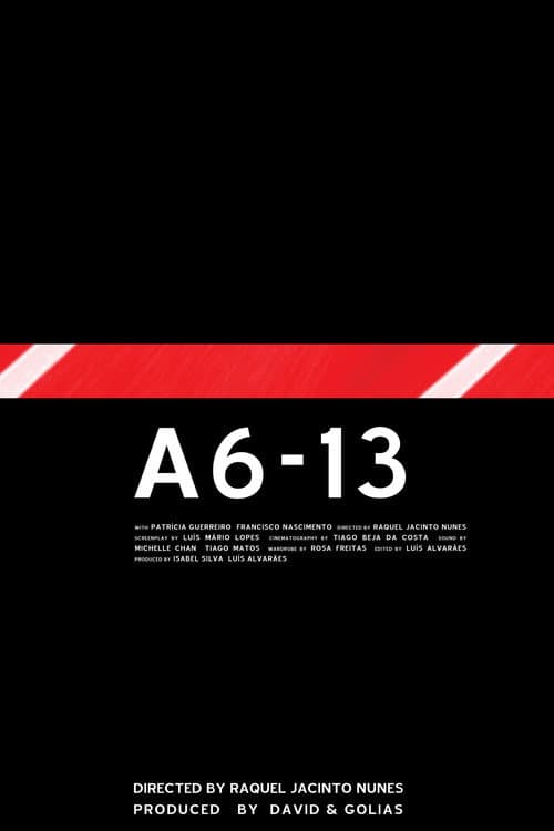 Poster for A6-13