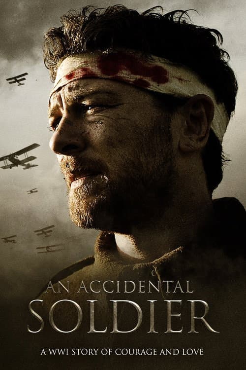 Poster for An Accidental Soldier