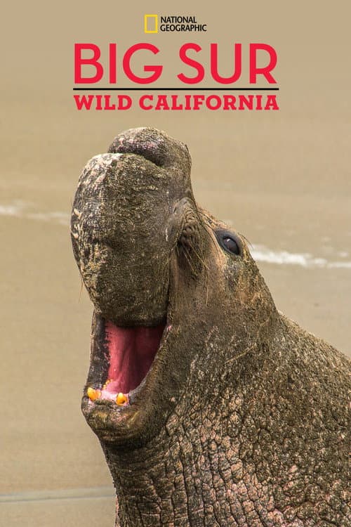 Poster for Big Sur: Wild California