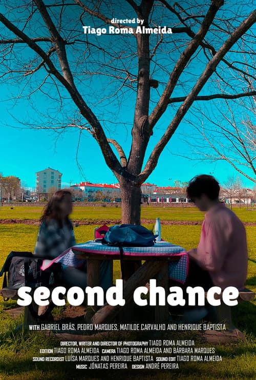 Poster for Second Chance