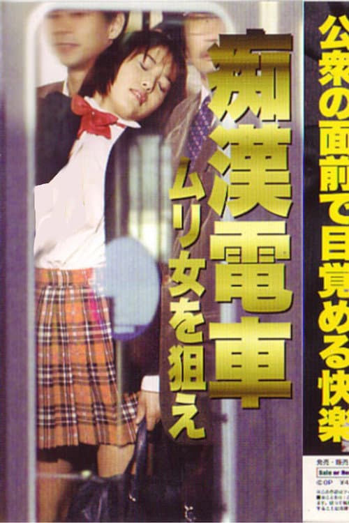 Poster for Groper Train: Target the Impossible Woman