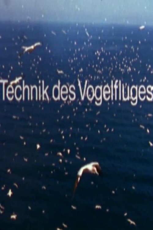 Постер до фільму «Technik des Vogelfluges»