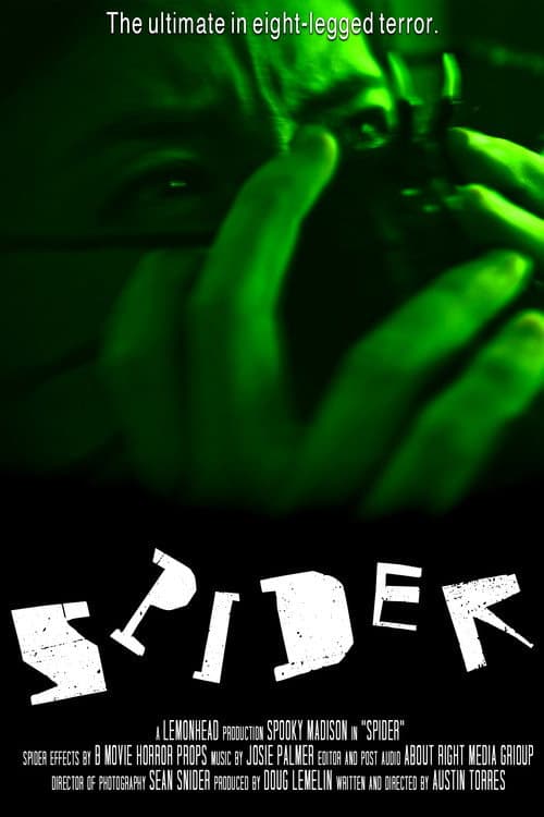 Poster for Spider