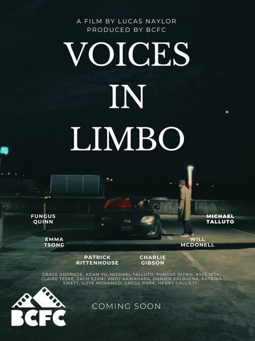 Poster for Voices In Limbo