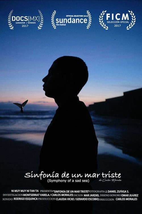 Poster for Symphony of a Sad Sea