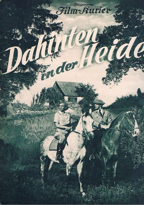 Poster for Back in the Country
