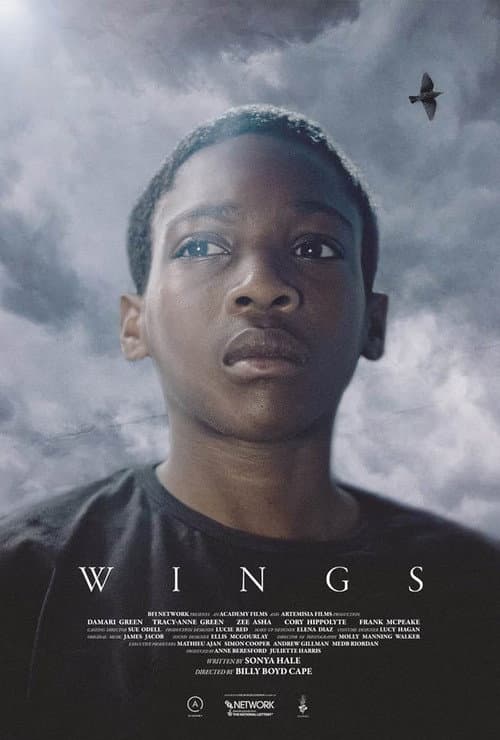 Poster for Wings